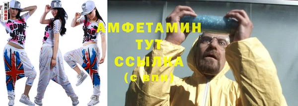 ПСИЛОЦИБИНОВЫЕ ГРИБЫ Кадников