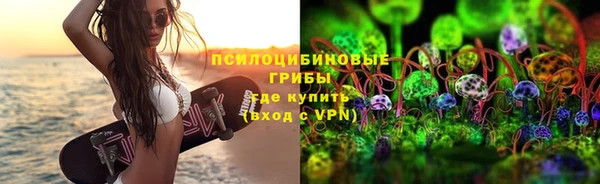 ПСИЛОЦИБИНОВЫЕ ГРИБЫ Кадников