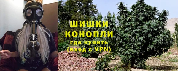 ПСИЛОЦИБИНОВЫЕ ГРИБЫ Кадников