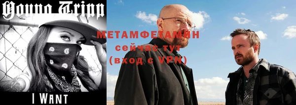 ПСИЛОЦИБИНОВЫЕ ГРИБЫ Кадников