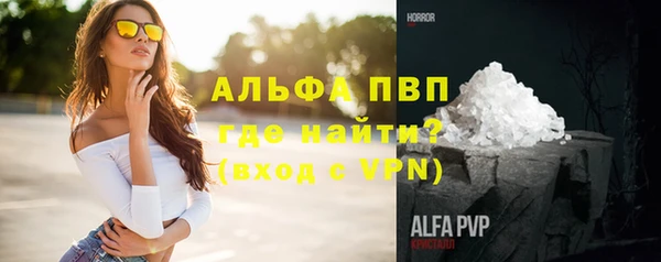 ПСИЛОЦИБИНОВЫЕ ГРИБЫ Кадников