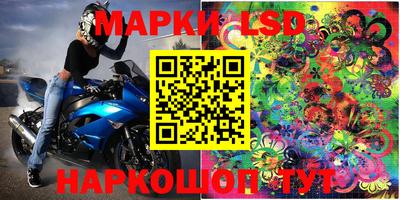 кокс Гатчина
