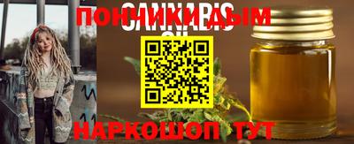 кокс Гатчина