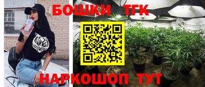 кокс Гатчина