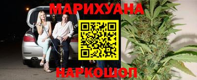 сатива Гай