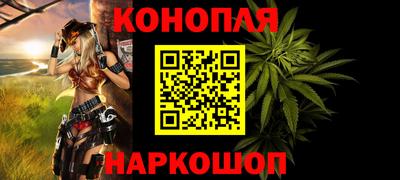 сатива Гай