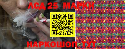 сатива Гай