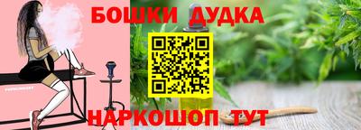 кокс Гатчина