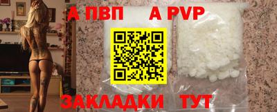 кокс Гатчина