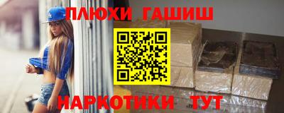 сатива Гай