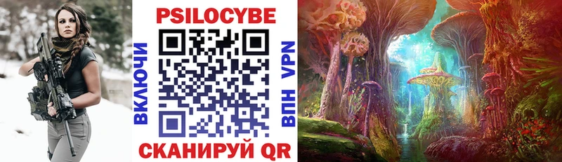 Псилоцибиновые грибы GOLDEN TEACHER  сколько стоит  Кизилюрт 