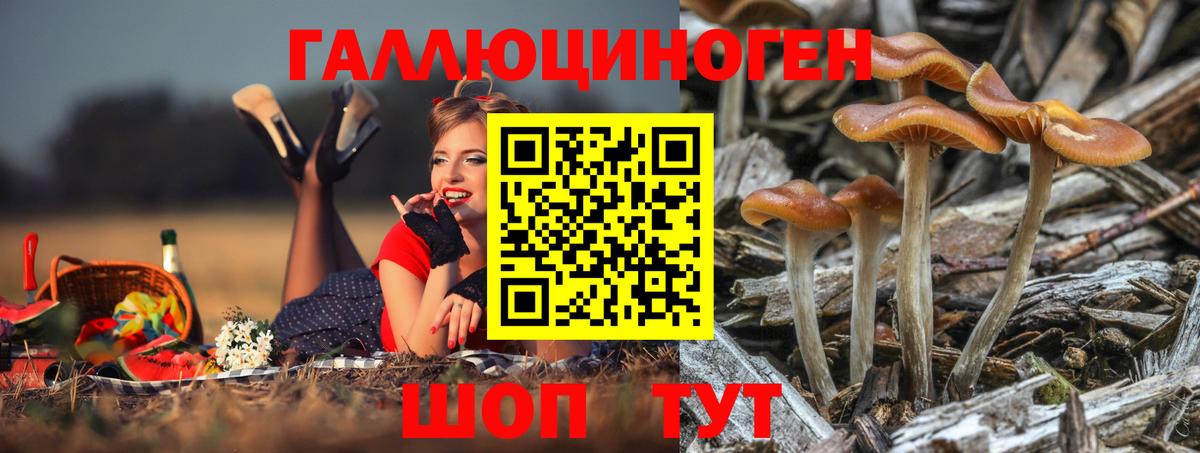 Псилоцибиновые грибы мухоморы  Вход с VPN  Кизилюрт 