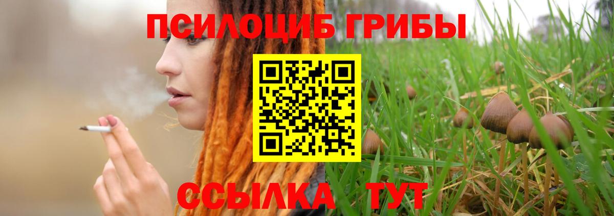 Галлюциногенные грибы мицелий Кизилюрт